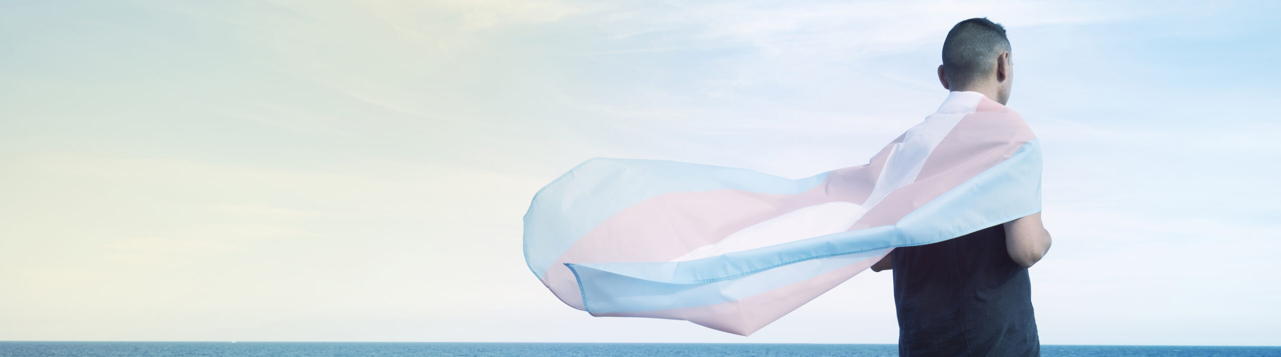 person wrapped in a transgender flag, web banner